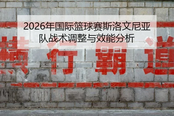 nian-guo-ji-lan-qiu-sai-si-luo-wen-ni-ya-dui-zhan-shu-tiao-zheng-yu-xiao-neng-fen-xi-2-332.jpg