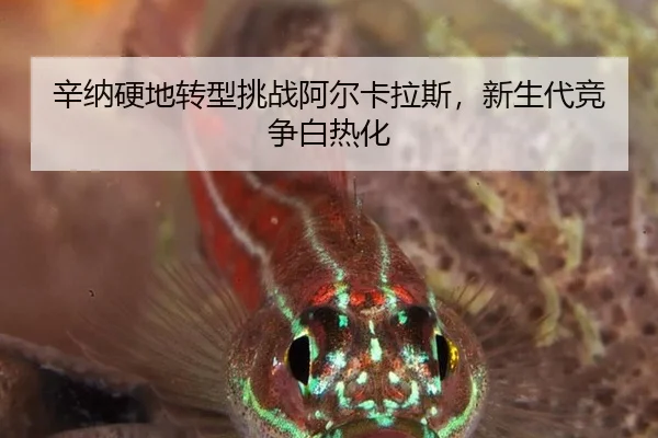 辛纳硬地转型挑战阿尔卡拉斯，新生代竞争白热化