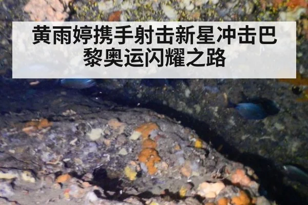 黄雨婷携手射击新星冲击巴黎奥运闪耀之路